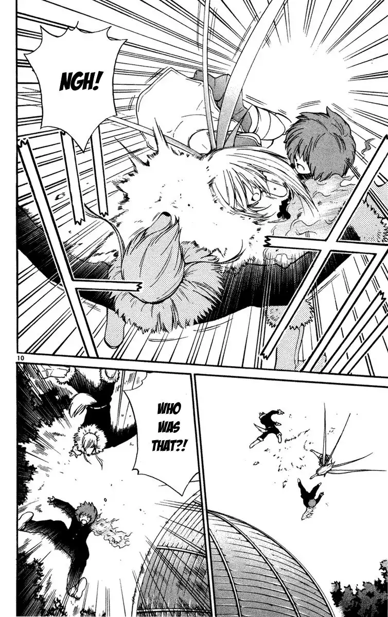 Seikesshou Albatross Chapter 11 11